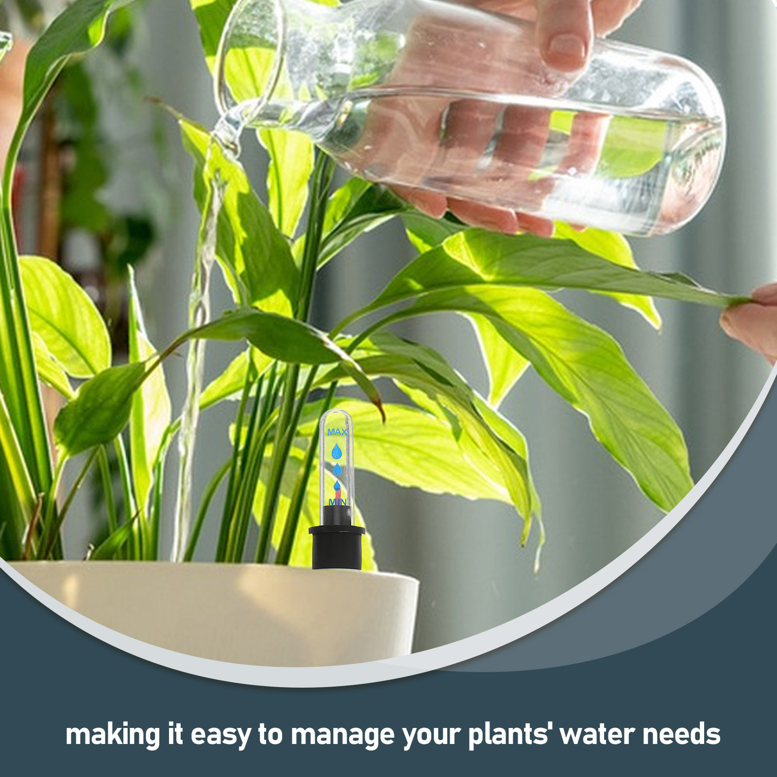 3Pcs Plant Water Level Sensor  - Self Watering Pot Sensor review and price