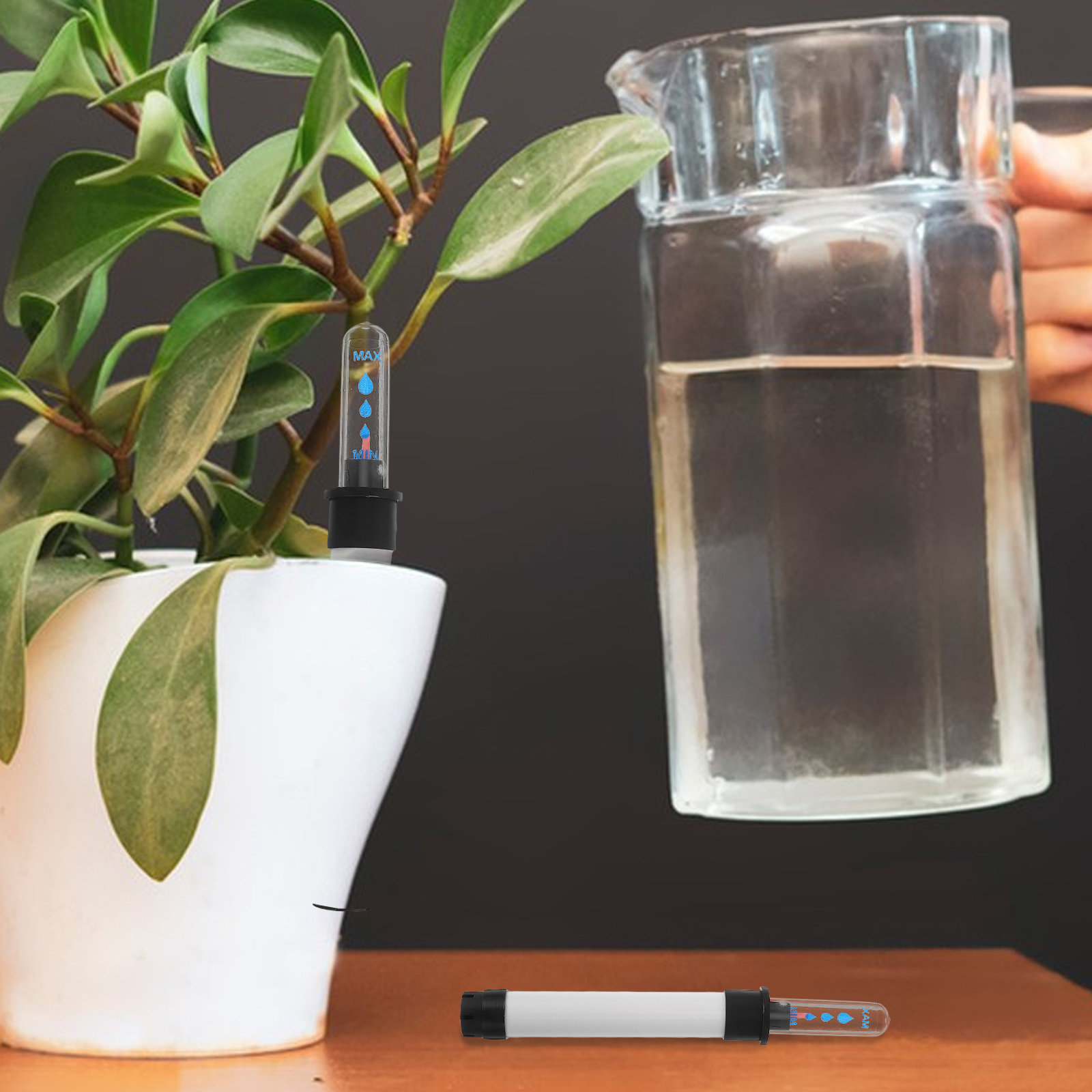 3Pcs Plant Water Level Sensor  - Self Watering Pot Sensor review and price