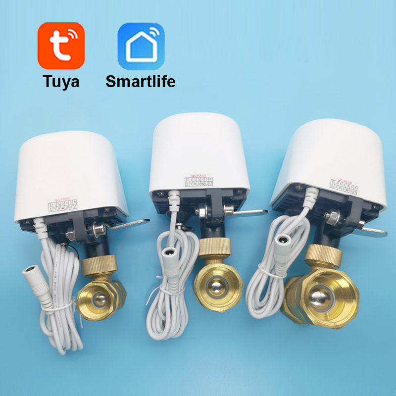Smart Tuya WiFi Zigbee Water V - Smart Garden Home Assistant review and price