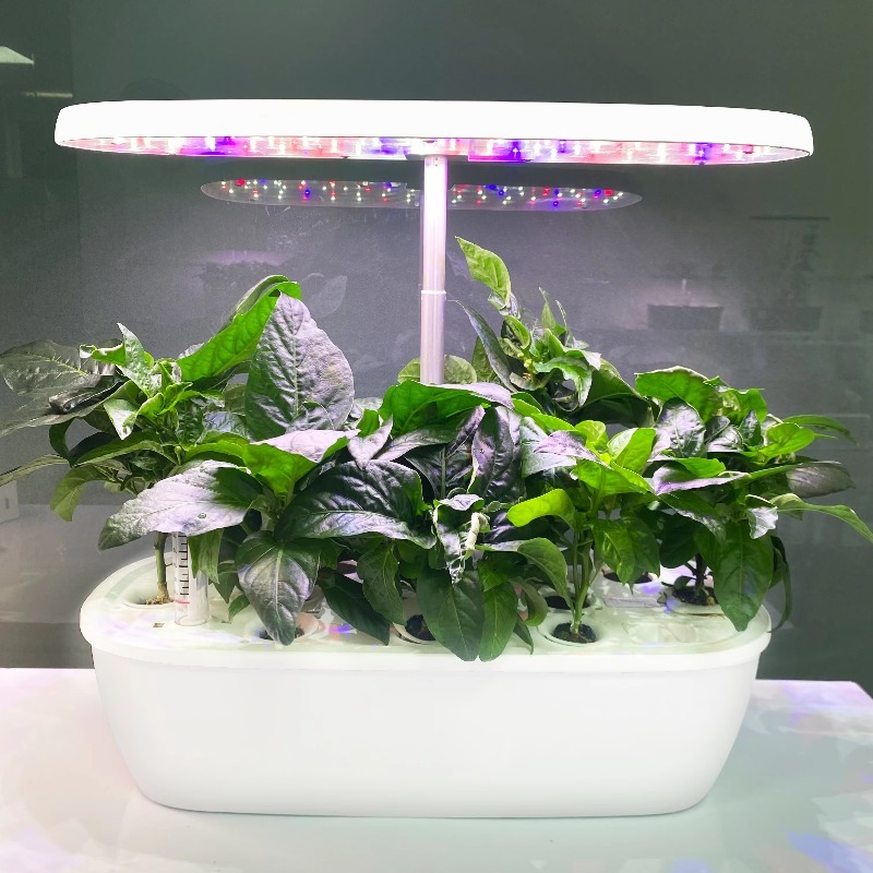 Smart Electronic Indoor Hydrop - Smart Garden Design review and price