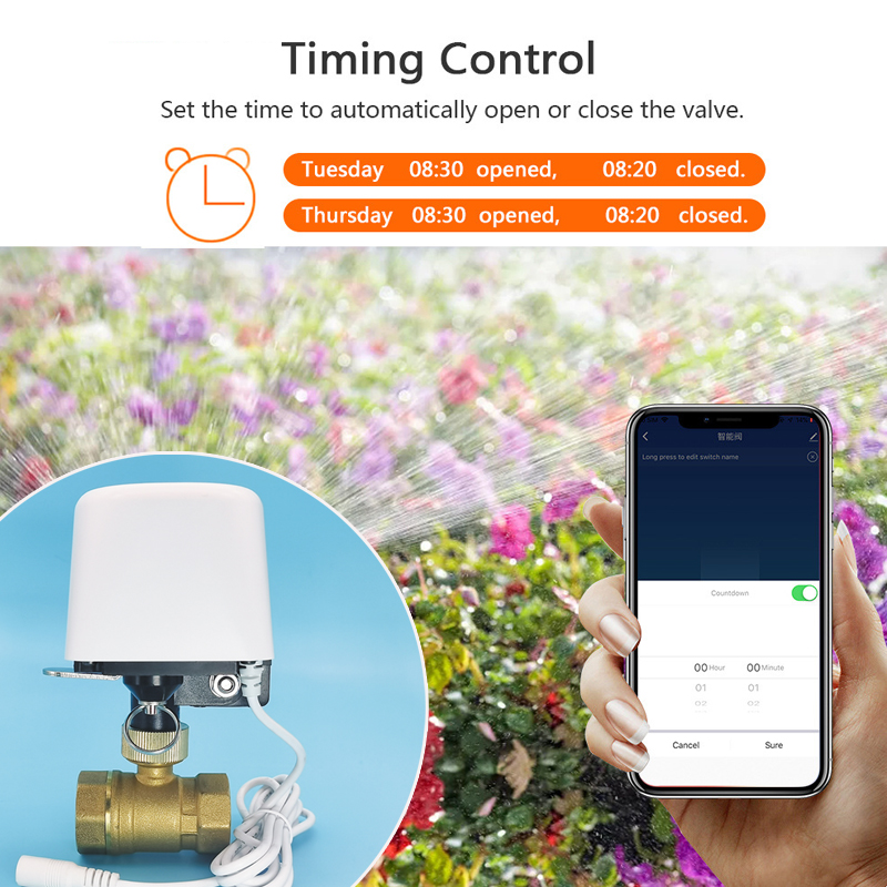 Wifi  Zigbee Tuya Water Valve  - Smart Garden Home Assistant review and price