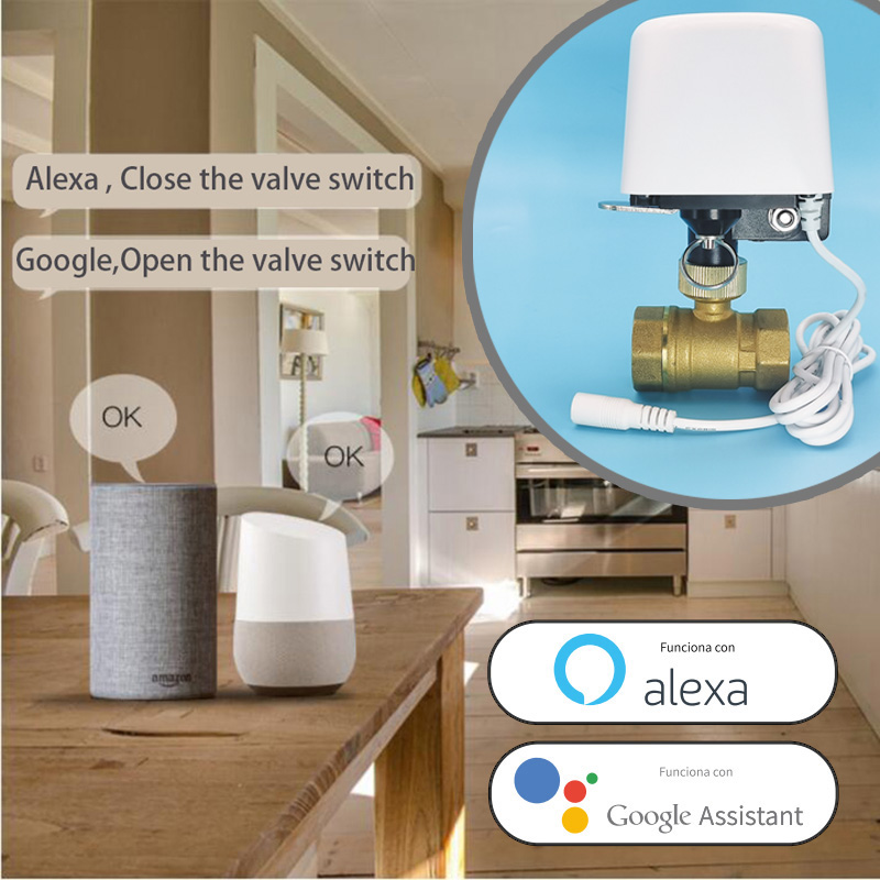 Wifi  Zigbee Tuya Water Valve  - Smart Garden Home Assistant review and price