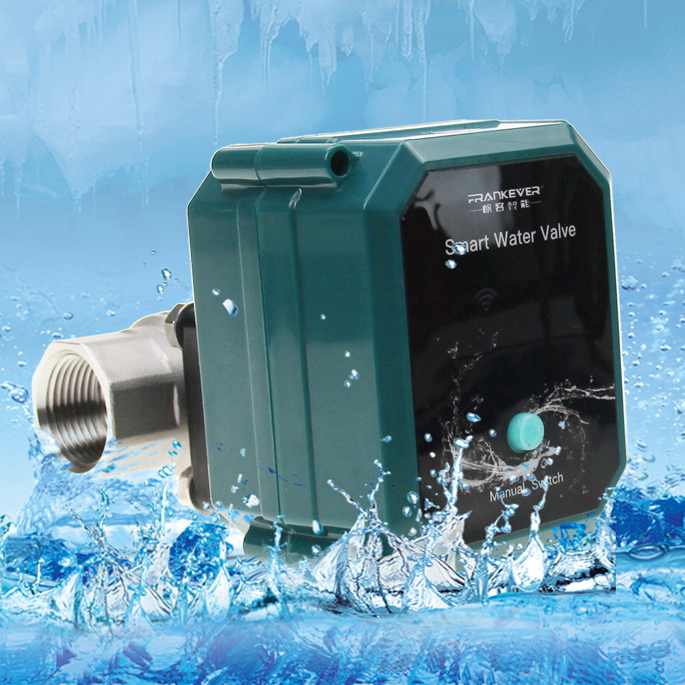 Wifi Tuya Water Valve Shut off - Smart Garden Home Assistant review and price